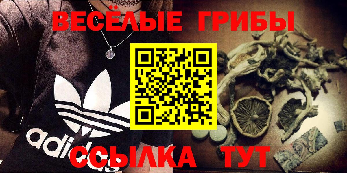 Кумертау  Галлюциногенные грибы ЛСД  купить  сайты  Вход с VPN 